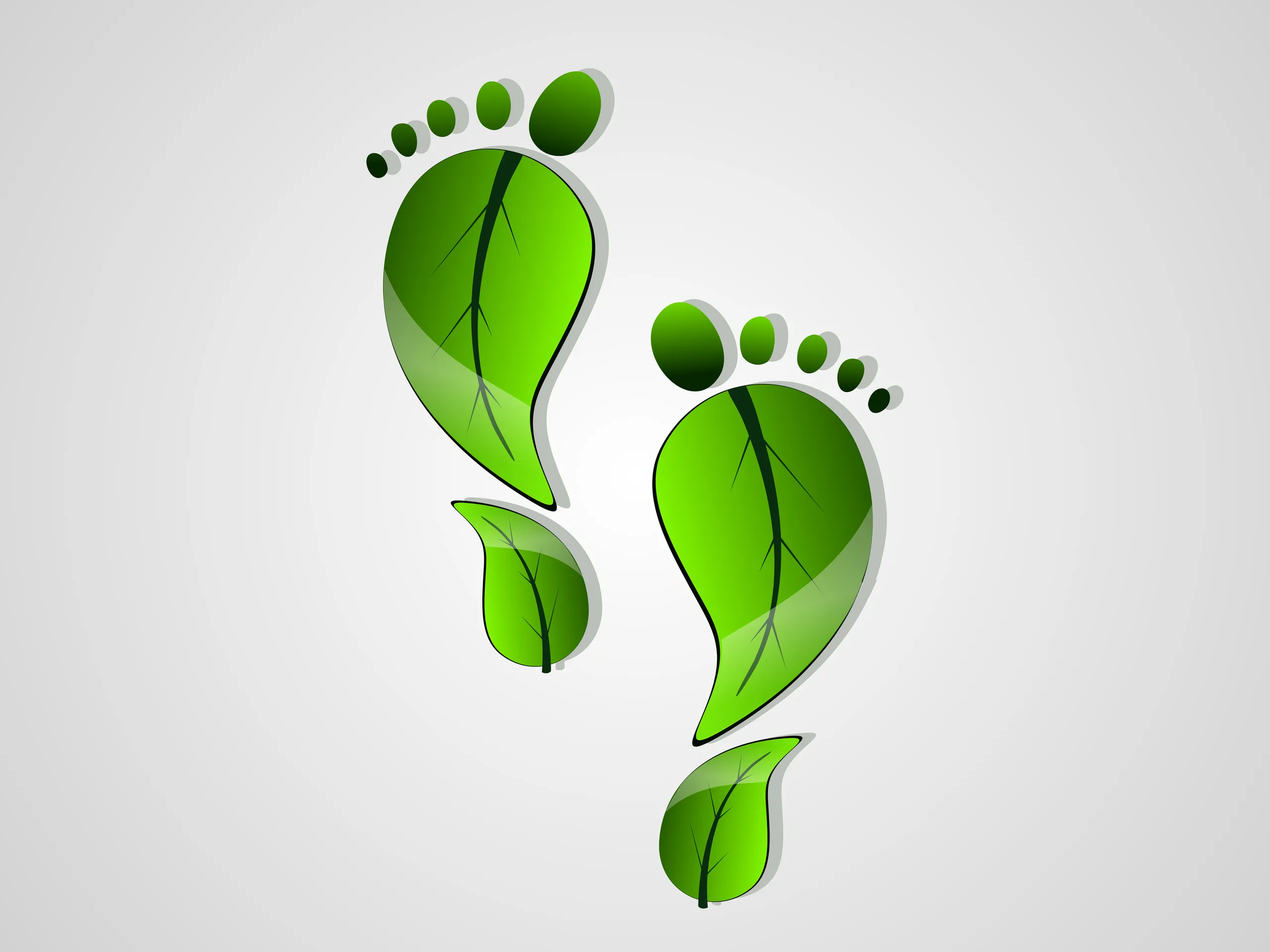 download carbon footprint free Images