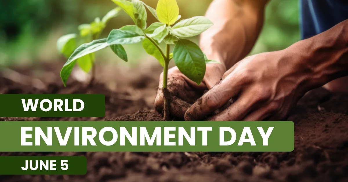 A person carefully plant a young tree in the ground for world environment day.