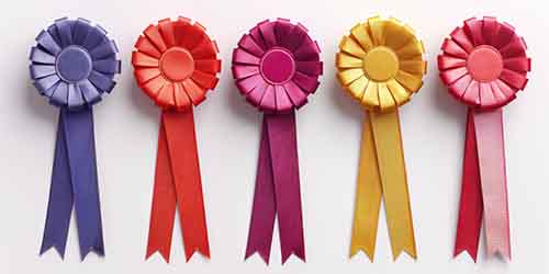 Free Ribbons And Labels Photo Of A Colorful Satin Ribbon Badge Multipurpose For Award Winning Ceremony Free Ribbons And Labels Photo Of A Colorful Satin Ribbon Badge Multipurpose For Award Winning Ceremony